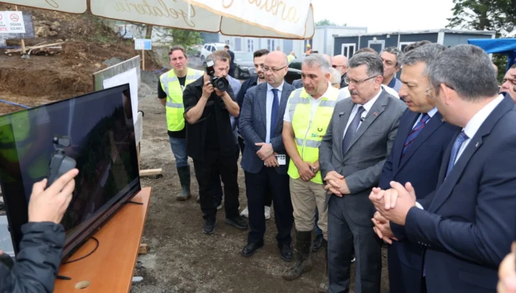 Trabzon’da Sokak Hayvanları Için Doğal Yaşam Alanı