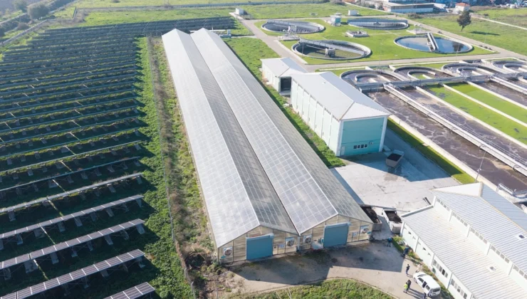 Türkiye’de Öncü Proje: Arıtma Çamuru Enerjiye Ve Toprak Düzenleyiciye Dönüşecek