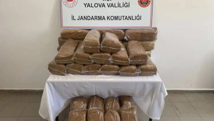 Yalova'Da 160 Kilogram Bandrolsüz Tütün Ele Geçirildi