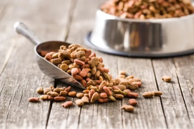 Yeni Yapılan 31 Bilimsel Araştırmaya Göre, Vegan Köpek Maması Ve Vegan Kedi Mamasının Iyi Sindirildiğini Ortaya Koydu