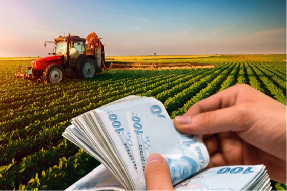 Çiftçilere 195,6 Milyon Liralık Tarımsal Destek Hesaplarda