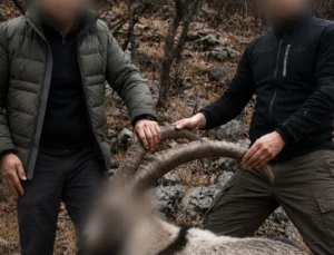 6 Yıl Önceki Kaçak Avın Failleri Tespit Edildi! 5 Yaban Keçisi Için Ceza Uygulandı