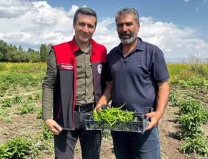 Ağrı Ozanlar Köyü'Nde Örnek Üretim Modeli