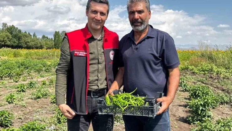 Ağrı Ozanlar Köyü'Nde Örnek Üretim Modeli