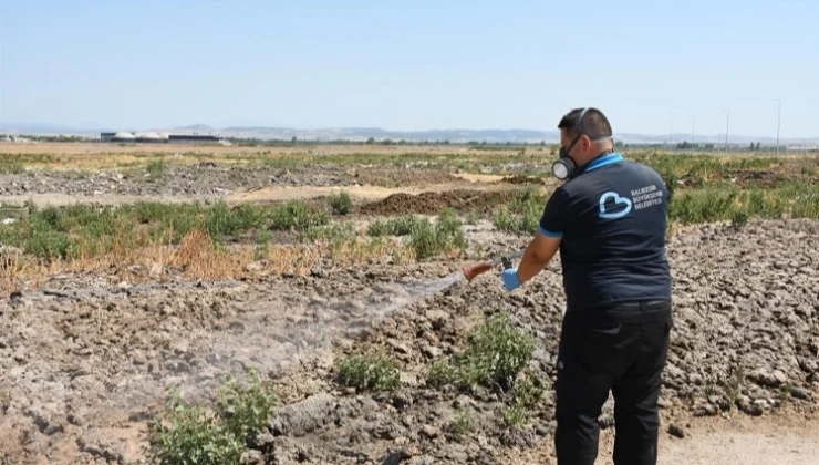 Balıkesir'De Ilaçlama Ekipleri Sahada