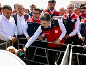 Hayvancılıkta Dijital Dönem… Geki̇s Kars'Ta Uygulamaya Alındı