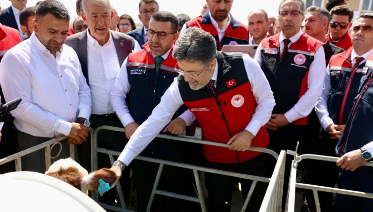 Hayvancılıkta Dijital Dönem… Geki̇s Kars'Ta Uygulamaya Alındı
