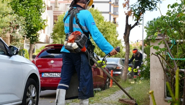 İstanbul Maltepe’den Çevre Düzenlemelerine Devam