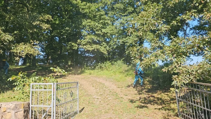 Kocaeli Derince’de Mezarlıklara Titiz Bakım