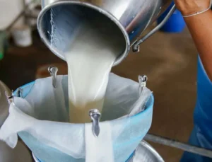 Süt Ürünlerinde Üretim Arttı