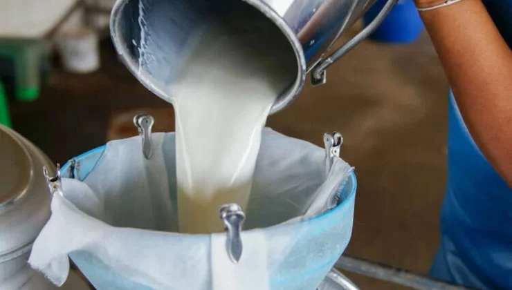 Süt Ürünlerinde Üretim Arttı