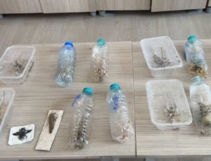 Nemrut’ta Biyokaçakçılık Operasyonu! 2 Kişiye 1,4 Milyon Tl Ceza