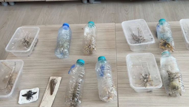 Nemrut’ta Biyokaçakçılık Operasyonu! 2 Kişiye 1,4 Milyon Tl Ceza