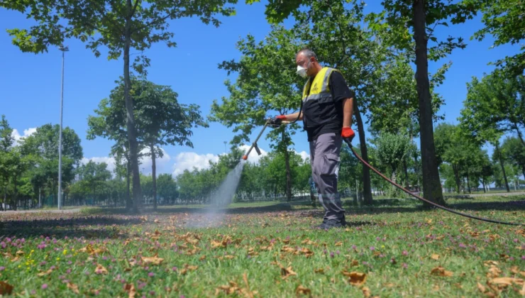 Samsun'Da Sivrisineklere Karşı Etkin Mücadele