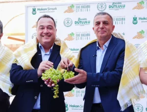 Üzümün Başkenti Manisa Bağbozumuna Hazır