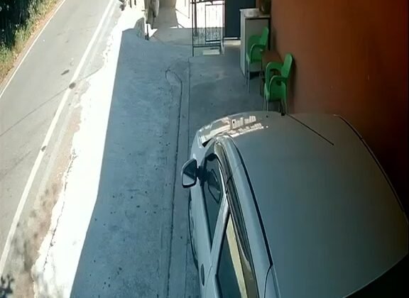 Köpeğe çarpıp yoluna devam etti: Hayati tehlikesi sürüyor
