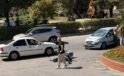 MOTOSİKLET İLE OTOMOBİL KAFA KAFAYA ÇARPIŞTI: SÜRÜCÜ AĞIR YARALANDI