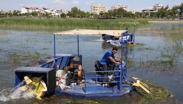 Antalya Boğaçayı’nda Doğal Yaşam Dengesi Korunuyor