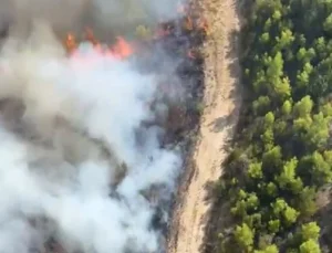 Antalya Serik’te Orman Yangını