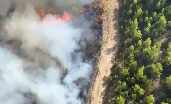 Antalya Serik’te Orman Yangını