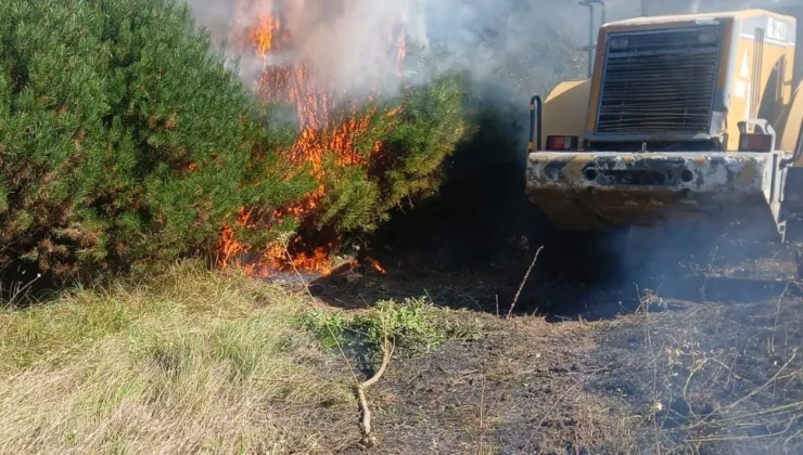 Düzce’de Fındık Bahçesinde Yangın!