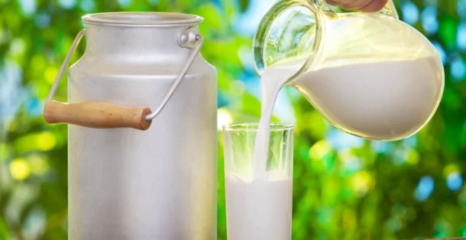 İçme Sütlerinde Yeni Dönem… Sütte 'Doğal' Ibaresine Sınırlama