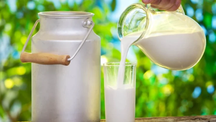 İçme Sütlerinde Yeni Dönem… Sütte 'Doğal' Ibaresine Sınırlama