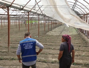 Muğla'Da Zarar Gören Üreticiye Naylon Desteği