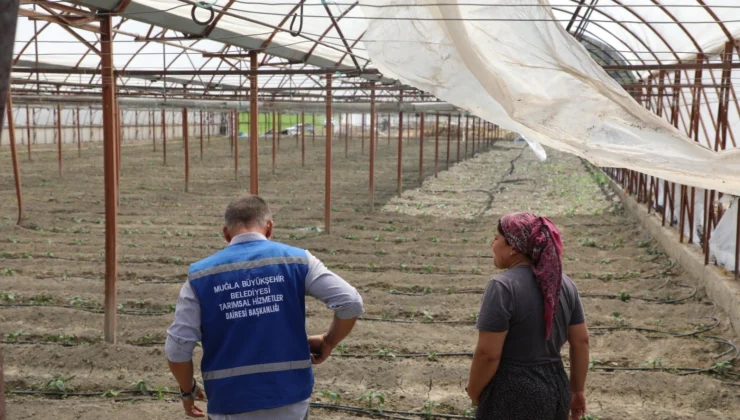 Muğla'Da Zarar Gören Üreticiye Naylon Desteği