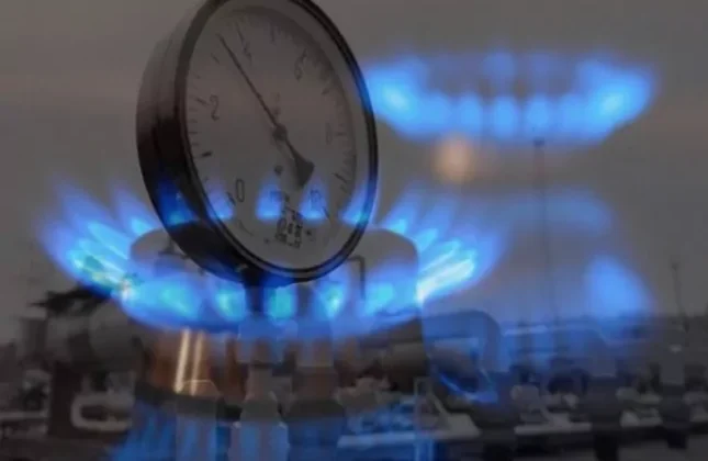 Hanelerin 2025 Enerji Tüketiminde Doğal Gaz Ilk Sırada