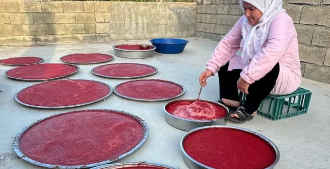 Adıyaman’da Kış Hazırlıkları Hızlandı… Damlarda Salça Mesaisi Başladı