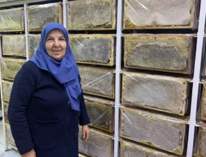 Ağrı’da Arılar Kışa Hazırlanıyor… Arıcı Suzan Sürmeli Anlattı