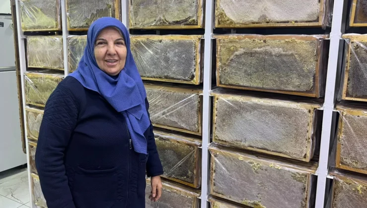 Ağrı’da Arılar Kışa Hazırlanıyor… Arıcı Suzan Sürmeli Anlattı