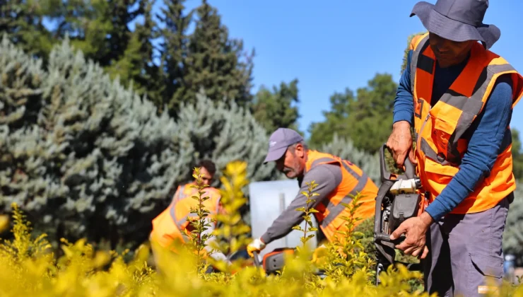 Antalya Cop31’E Hazırlanıyor