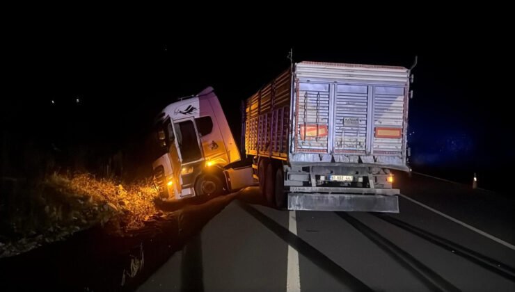 Zonguldak’ta tırın çarptığı 80 yaşındaki adam hayatını kaybetti