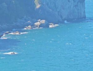 Zonguldak’ta kayıp balıkçı Erdin Yılmaz’ı arama çalışmaları sürüyor