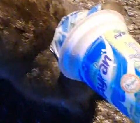 Kafasına ayran kabı sıkışan kedi, yardım için itfaiyeye gitti.