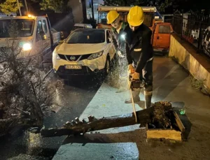 Beylikdüzü'Nde Sağanak Mesaisi Gece Boyunca Sürdü