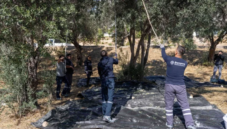 Bornova'Da Asırlık Miras Ihtiyaç Sahibi Ailelerin Sofrasında