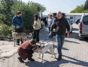 Bornova'Da Can Dostları Yeni Sahipleriyle Buluştu