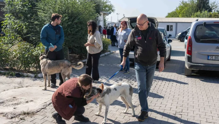 Bornova'Da Can Dostları Yeni Sahipleriyle Buluştu