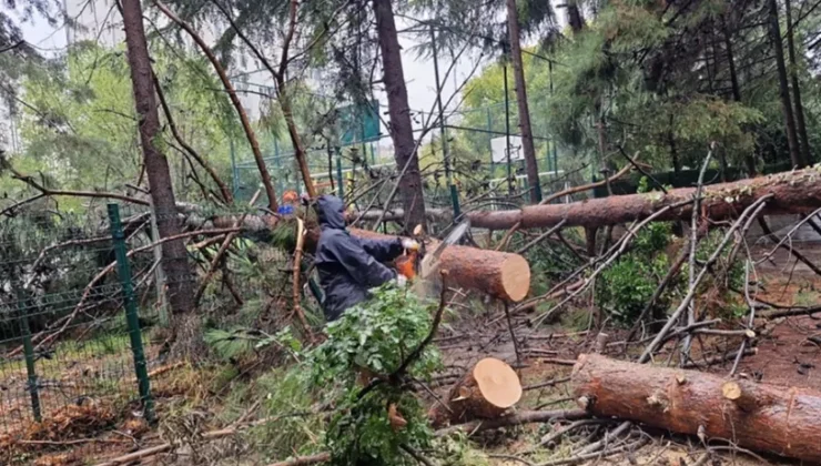 İstanbul Beylikdüzü'Nde Ekiplerin Sağanak Mesaisi