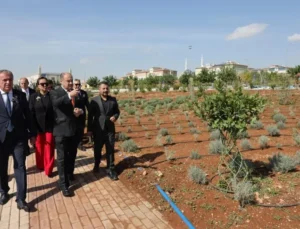 Şanlıurfa Ile Pitești Arasında Dostluk Fidanları Toprakla Buluştu