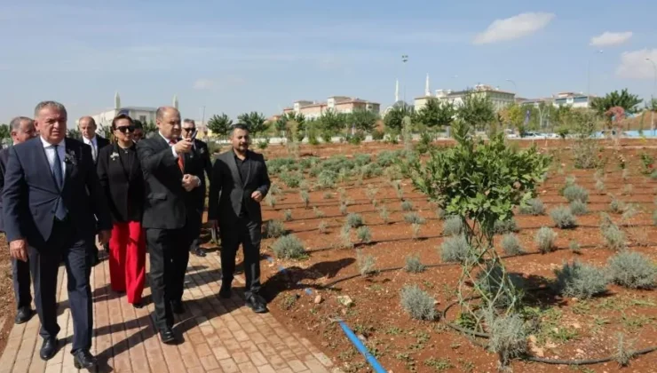 Şanlıurfa Ile Pitești Arasında Dostluk Fidanları Toprakla Buluştu