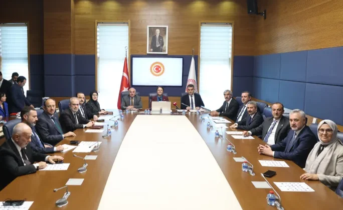 Tbmm İnsan Haklarını İnceleme Komisyonu'Nda Başkan Vekili Seçildi