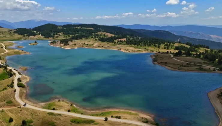 Cop31 Için Türkiye'Den Özel İngilizce Şarkı